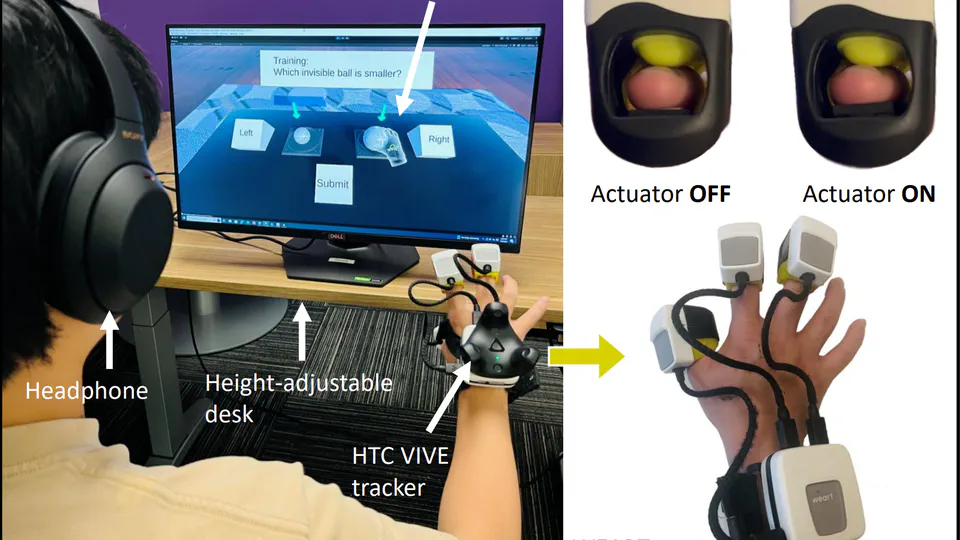 Haptic Acuity during Shared Grasp Experiences in Virtual Reality