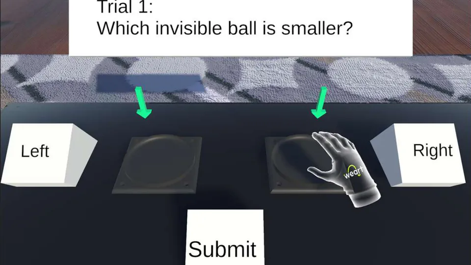 Haptic Acuity during Shared Grasp Experiences in Virtual Reality